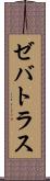 Zebatlas Scroll