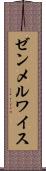 ゼンメルワイス Scroll