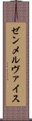 ゼンメルヴァイス Scroll