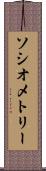 ソシオメトリー Scroll