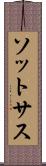 ソットサス Scroll