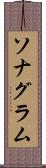ソナグラム Scroll