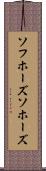 ソフホーズ Scroll