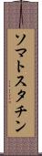 ソマトスタチン Scroll