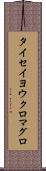 タイセイヨウクロマグロ Scroll