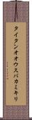 タイタンオオウスバカミキリ Scroll