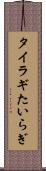 タイラギ Scroll