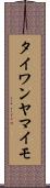 タイワンヤマイモ Scroll