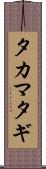 タカマタギ Scroll