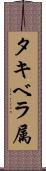 タキベラ属 Scroll