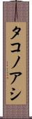 タコノアシ Scroll