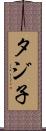 タジ子 Scroll
