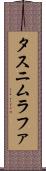 Tasnim Rafa Scroll