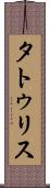 タトゥリス Scroll