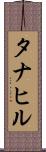タナヒル Scroll