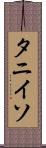 タニイソ Scroll