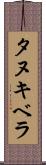 タヌキベラ Scroll