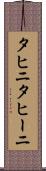 タヒニ Scroll
