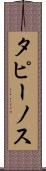 タピーノス Scroll