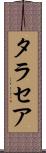 タラセア Scroll