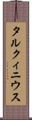 タルクィニウス Scroll