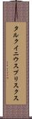タルクイニウスプリスクス Scroll
