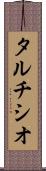 タルチシオ Scroll