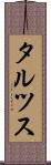 タルツス Scroll