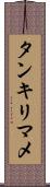 タンキリマメ Scroll