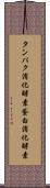 タンパク消化酵素 Scroll
