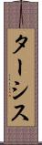 ターシス Scroll