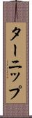 ターニップ Scroll