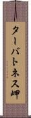 ターバトネス岬 Scroll