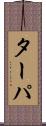ターパ Scroll