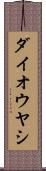 ダイオウヤシ Scroll