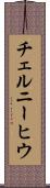 チェルニーヒウ Scroll