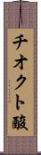 チオクト酸 Scroll