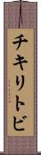 チキリトビ Scroll