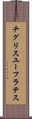 チグリスユーフラテス Scroll