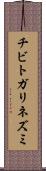 チビトガリネズミ Scroll