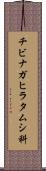 チビナガヒラタムシ科 Scroll