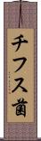チフス菌 Scroll