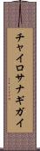 チャイロサナギガイ Scroll