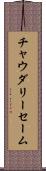 Choudary Saim Scroll