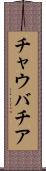 チャウバチア Scroll