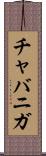 チャバニガ Scroll