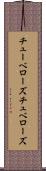 チューベローズ Scroll