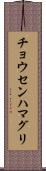 チョウセンハマグリ Scroll