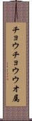 チョウチョウウオ属 Scroll