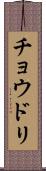 チョウドリ Scroll